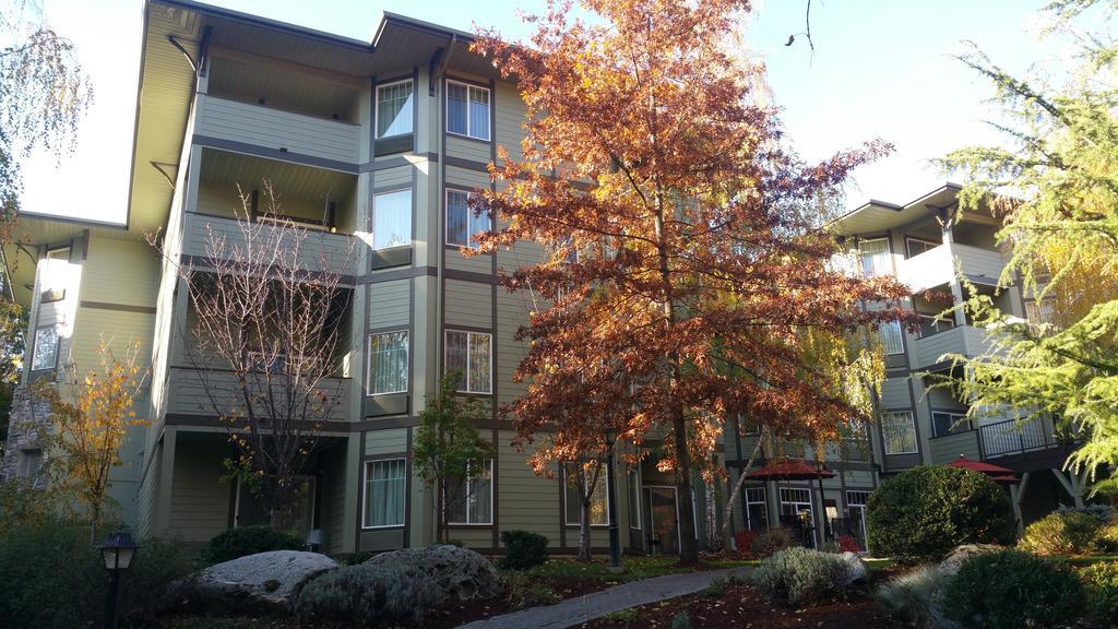 Plaza Inn & Suites At Ashland Creek Luaran gambar